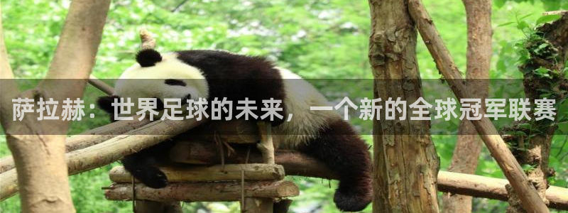 2026世界杯小组赛赛程时间表:萨拉赫:世界足球的未来,一个新的全球冠军联赛