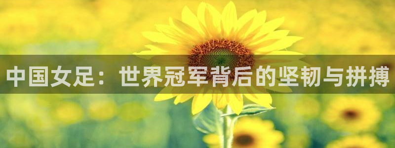 2026世界杯亚洲预选赛:中国女足:世界冠军背后的坚韧与拼搏