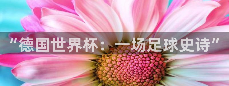 世界杯比赛赛程:“德国世界杯:一场足球史诗”