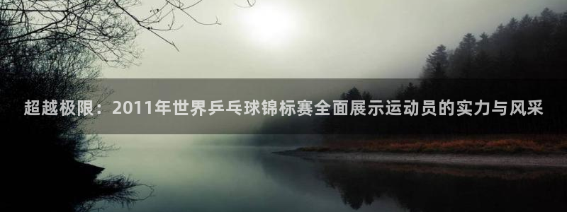 世界杯决赛直播:超越极限:2011年世界乒乓球锦标赛全面展示运动员的实力与风采