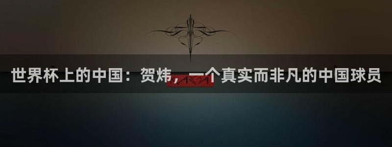 世界杯2026赛程:世界杯上的中国:贺炜,一个真实而非凡的中国球员