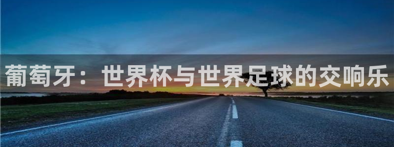 世界杯欧洲区预选赛赛程:葡萄牙:世界杯与世界足球的交响乐