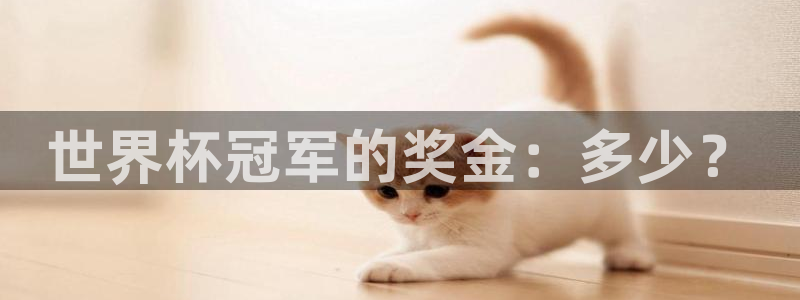 国际足联世界杯:世界杯冠军的奖金:多少?