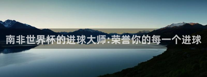 足球世界杯赛程:南非世界杯的进球大师:荣誉你的每一个进球